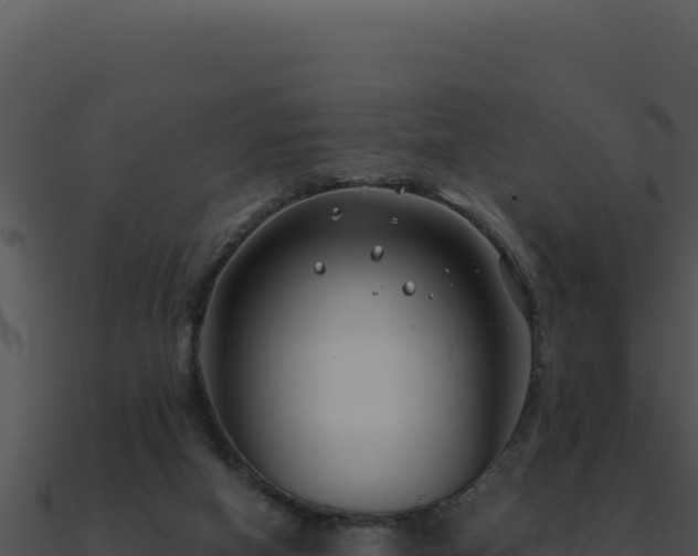 X0000091000066200708021609