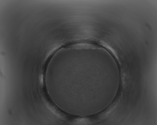 X0000091000067200708021609