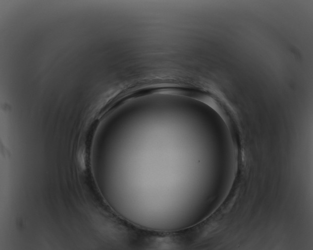 X0000091000068200708021609