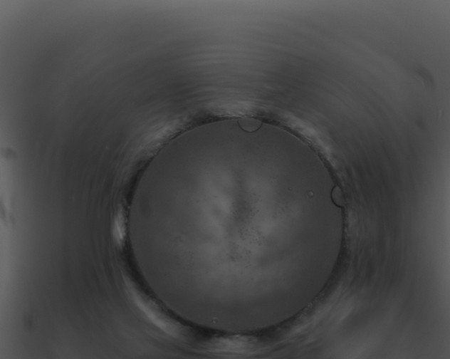 X0000091000069200708021609