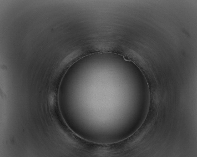 X0000091000071200708021610