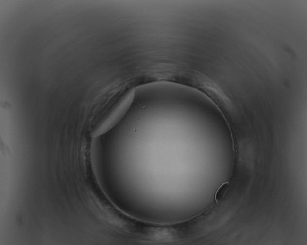 X0000091000073200708021610
