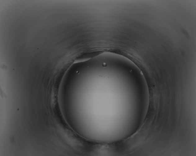 X0000091000074200708021610