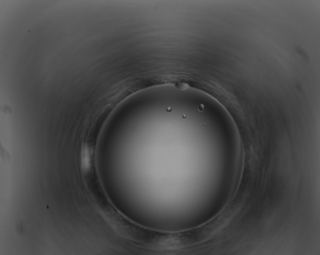 X0000091000075200708021610
