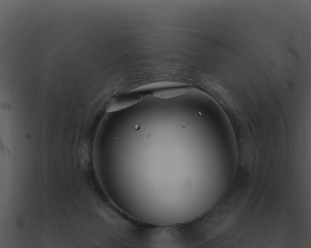 X0000091000077200708021610