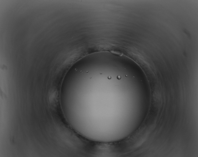 X0000091000079200708021610