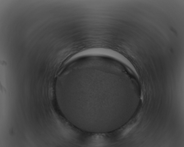 X0000091000080200708021610