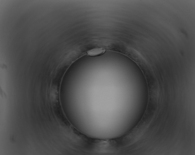 X0000091000083200708021610
