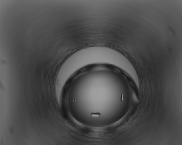 X0000091000084200708021610
