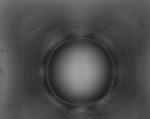 X0000091000086200708021610