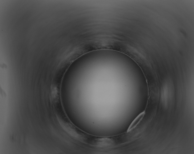 X0000091000087200708021610