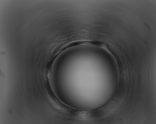 X0000091000088200708021610