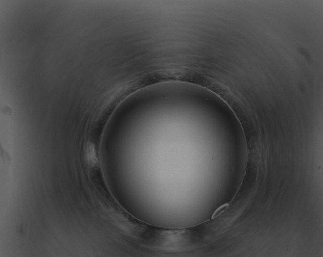X0000091000089200708021610