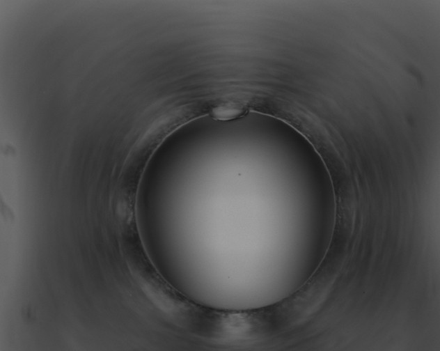 X0000091000091200708021610