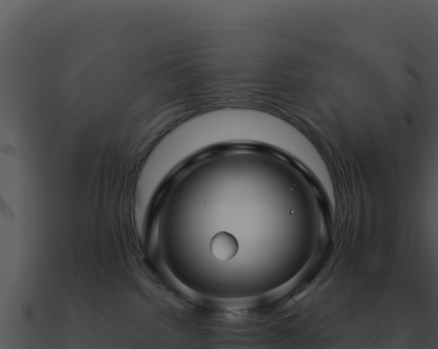 X0000091000092200708021610
