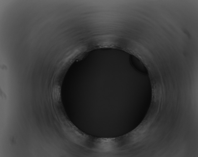 X0000091000093200708021610