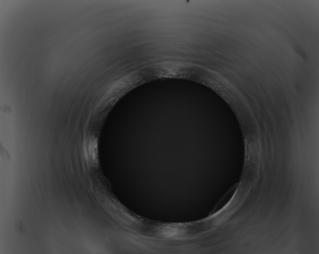 X0000091000094200708021610