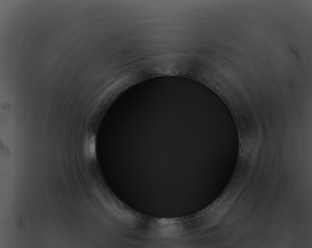 X0000091000095200708021610