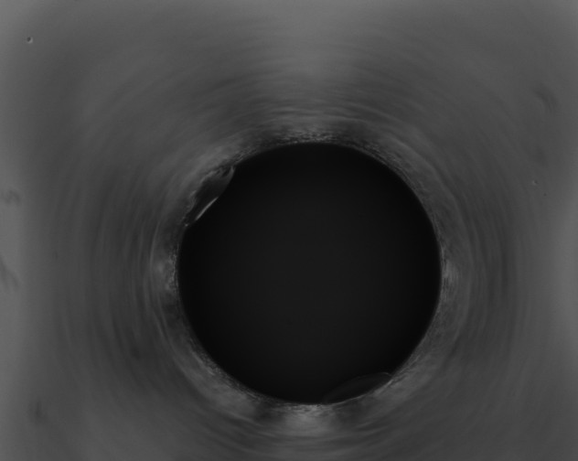 X0000091000096200708021610