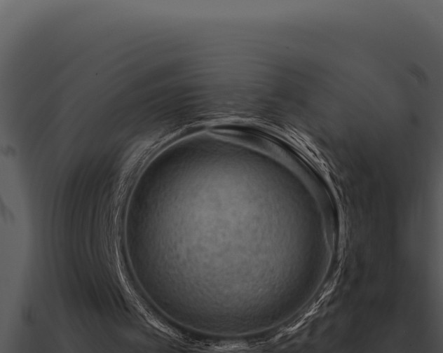 X0000091000097200708021609