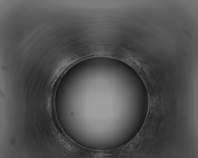 X0000091000098200708021609