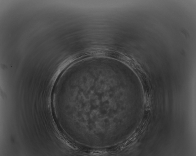 X0000091000099200708021609