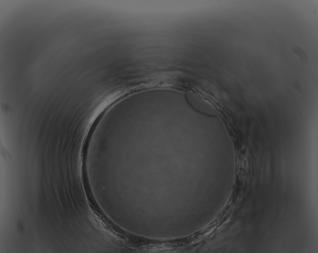 X0000091000100200708021609