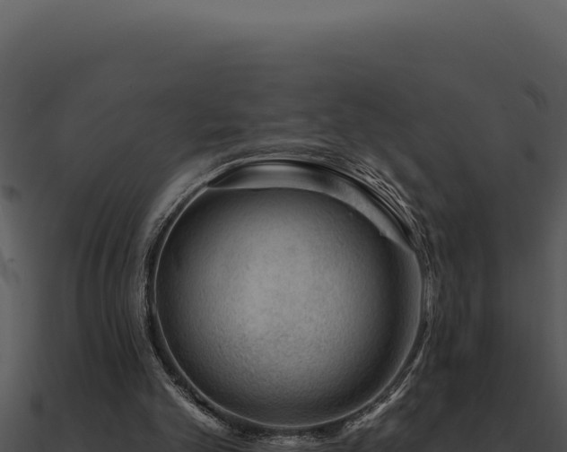 X0000091000101200708021609