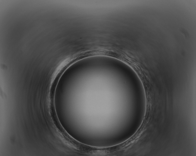 X0000091000102200708021609