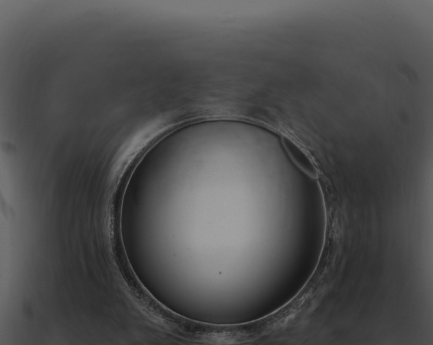 X0000091000103200708021609