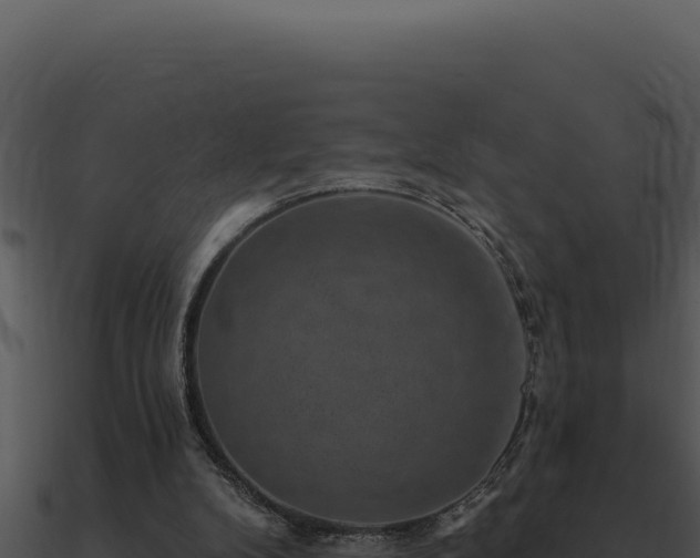 X0000091000104200708021609