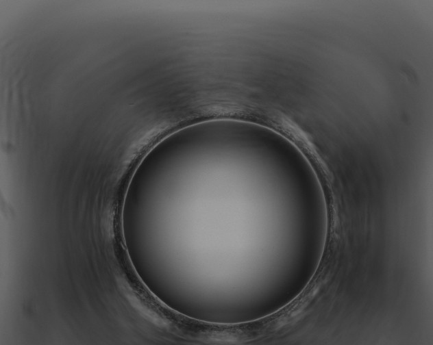 X0000091000106200708021609