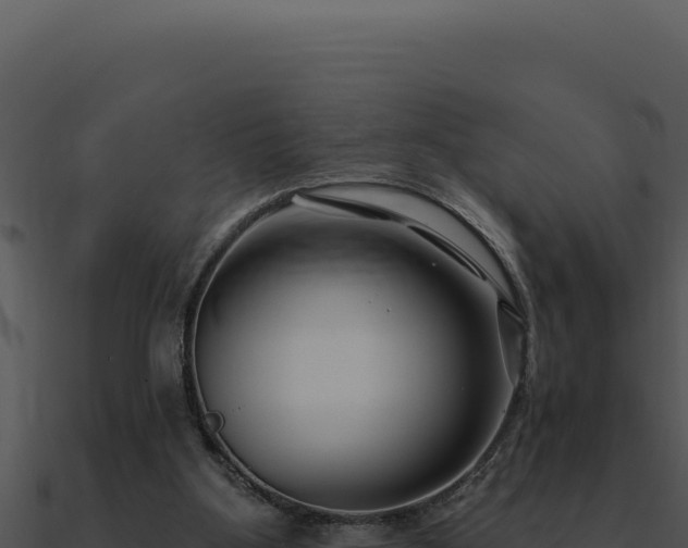X0000091000107200708021609