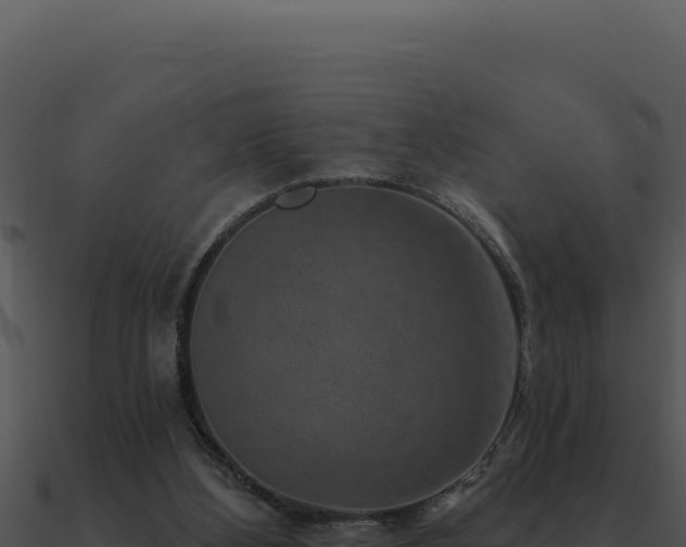 X0000091000108200708021609
