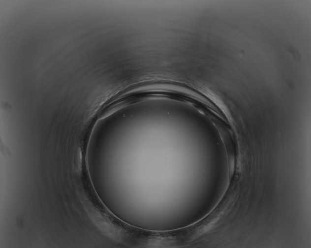 X0000091000109200708021609