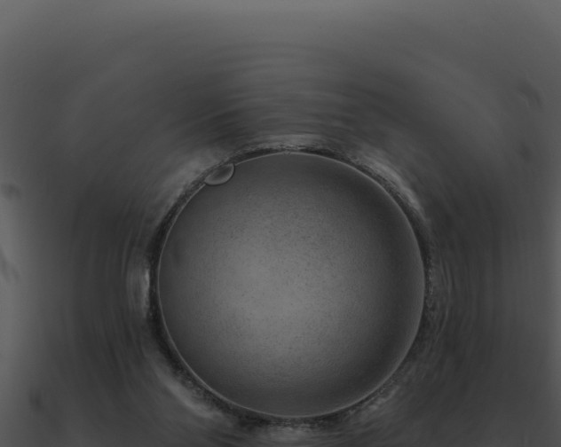 X0000091000110200708021609