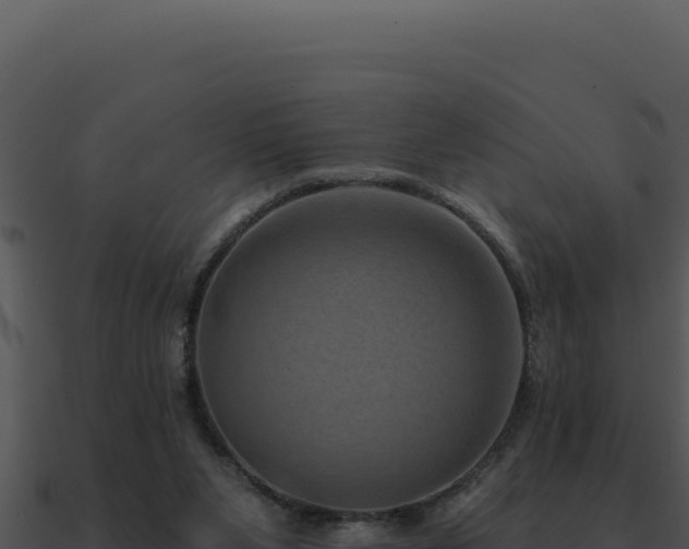 X0000091000111200708021609