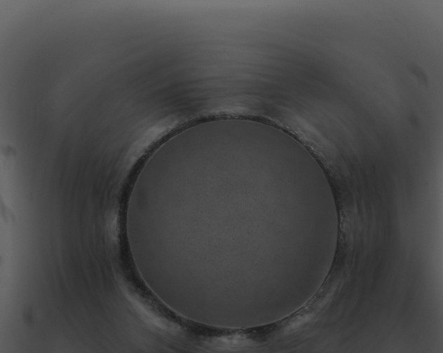 X0000091000112200708021609
