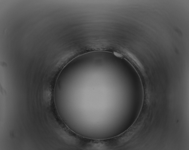 X0000091000113200708021609