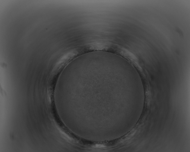 X0000091000114200708021609