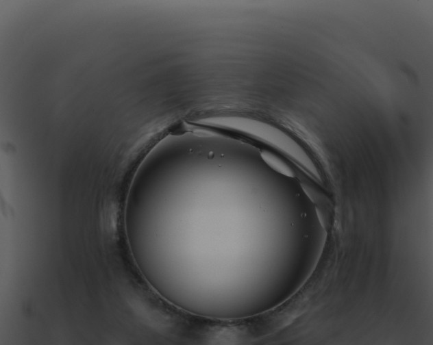X0000091000115200708021609