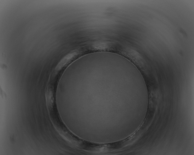 X0000091000116200708021609