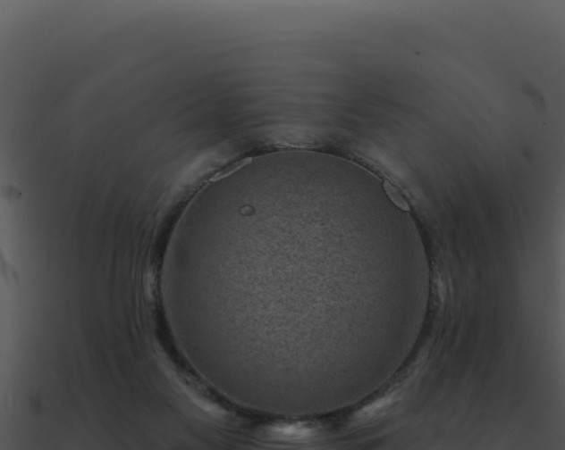 X0000091000117200708021609