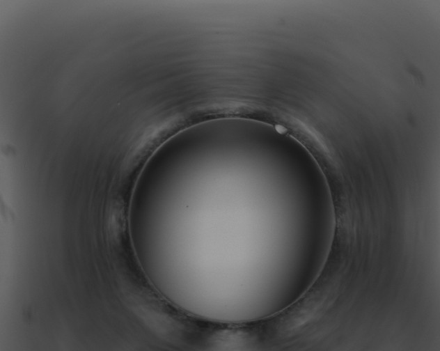 X0000091000119200708021609