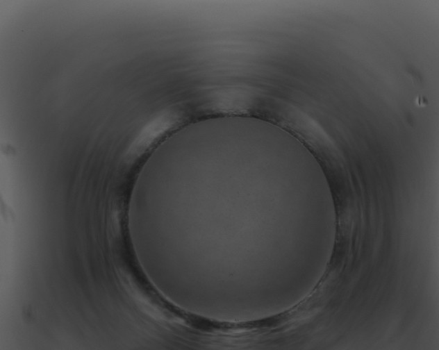 X0000091000120200708021609