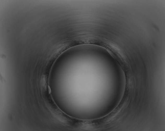 X0000091000121200708021609
