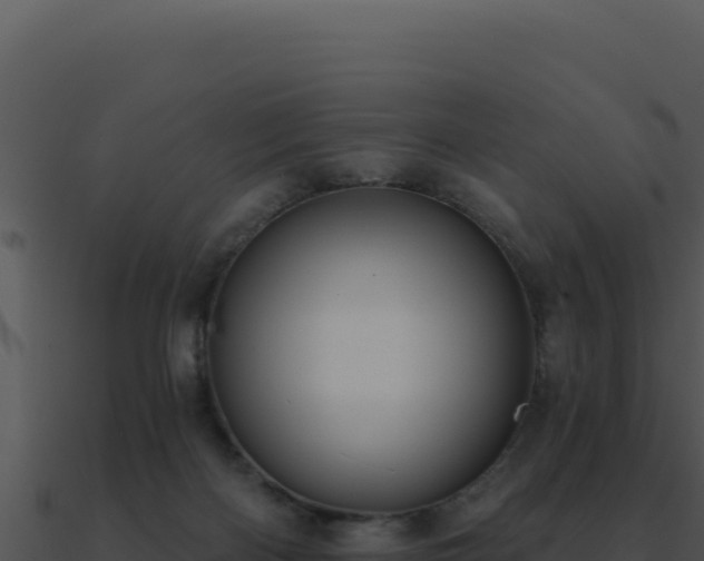X0000091000122200708021609