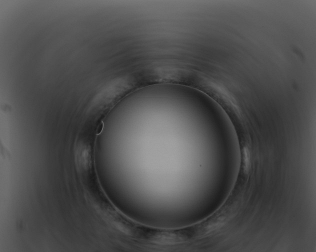 X0000091000123200708021609