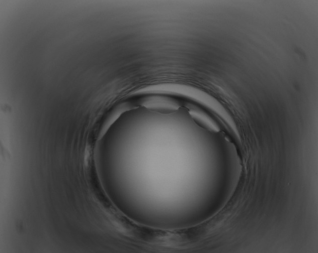 X0000091000125200708021609
