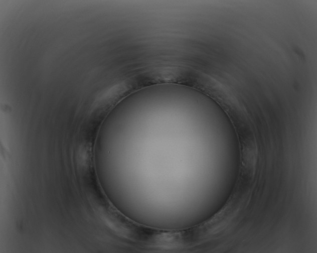 X0000091000126200708021609